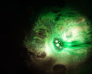 Bacteria breaks down petroleum via enhanced bioremediation.